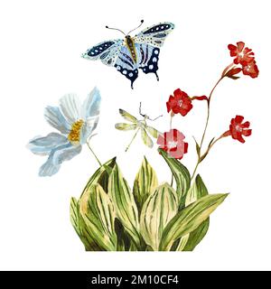 Gras Gänseblümchen Schmetterling Blau Libelle Aquarell Stockfoto