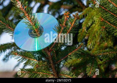 Die CD ist auf einem Weihnachtsbaum, ein Hintergrundfoto für die Silvesterparty Stockfoto