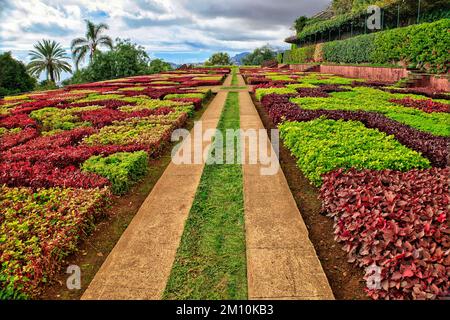 Botanischer Garten in Funchal, Madeira - beeindruckender symmetrischer formeller Garten, auch bekannt als choreographierter Garten Stockfoto