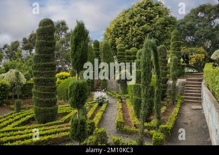 Topikbereich des Botanischen Gartens in Funchal, Madeira Stockfoto