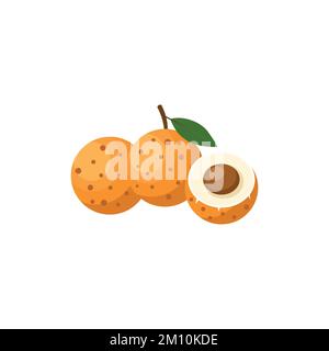 Longan Flat-Design-Clip-Art-Vektordarstellung isoliert auf weißem Hintergrund Stock Vektor