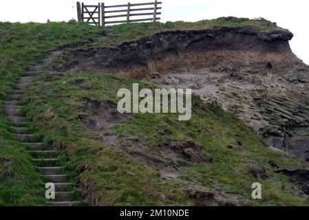 Treppen, die zu einem Holztor am erodierten Cliff Edge führen, zu den Strangles auf dem South West Coastal Path in Cornwall, England, Großbritannien. Stockfoto