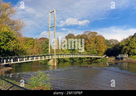 Black Weir, Hängebrücke und River Taff, Pontcanna Fields, Cardiff, Wales. Stockfoto