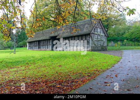 Fachwerk reetgedeckten Scheune aus 1550, National History Museum, St Fagans, Cardiff, Südwales, UK. Stockfoto