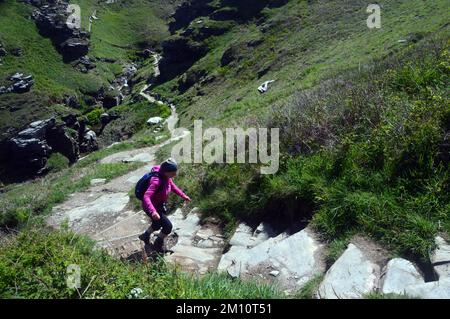 Woman Climbing Stufen von Wooden Foot Bridge über den Fluss Trevillett im Rocky Valley auf dem South West Coastal Path, Cornwall, England, Großbritannien. Stockfoto