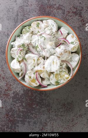 Farskpotatissallad ist ein traditioneller schwedischer Salat mit einer Kombination aus Frühkartoffeln, Sauerrahm oder Crème fraiche, gehacktem Dill und Zwiebeln aus nächster Nähe Stockfoto