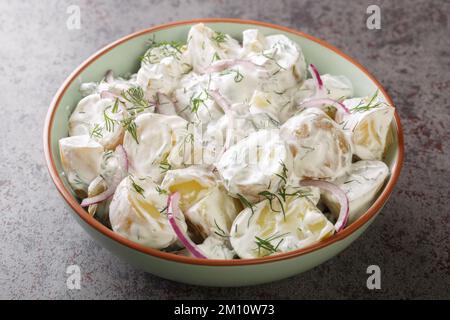 Farskpotatissalad ist ein schwedischer Kartoffelsalat, der einfach aus neuen Kartoffeln, Creme Fraiche, roten Zwiebeln und frisch gehacktem Dill in Nahaufnahme auf einem Teller auf dem zubereitet wird Stockfoto