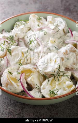 Farskpotatissallad ist ein traditioneller schwedischer Salat mit einer Kombination aus Frühkartoffeln, Sauerrahm oder Crème fraiche, gehacktem Dill und Zwiebeln aus nächster Nähe Stockfoto