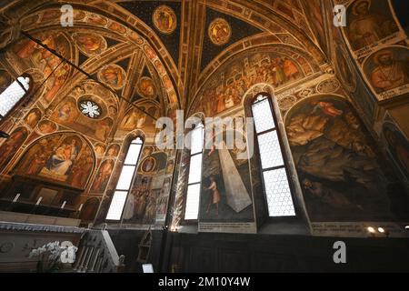 Padua, Italien - 05. Juli 2022: Innere der Basilika di Sant Antonio in Padua, Veneto, Italien. Stockfoto