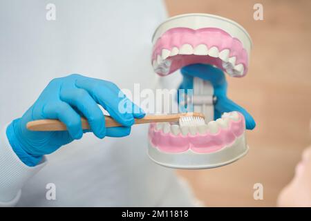 Der Arzt-Hygieniker hält das Modellgebiss mit einer Zahnspange in den Händen Stockfoto