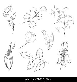 Blütenset mit Irislilien des Tals und Zweige mit Blättern im handgezeichneten Stil Stock Vektor