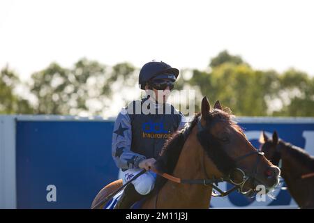 Jockey PJ McDonald reitet Lucky man bei York Races. Stockfoto