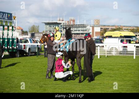 Jockey Phil Dennis stellt den Sattel auf Barossa vor einem Rennen auf der York Racecourse ein. Stockfoto