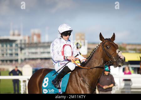 Jockey PJ McDonald auf Kadovar bei York Races. Stockfoto