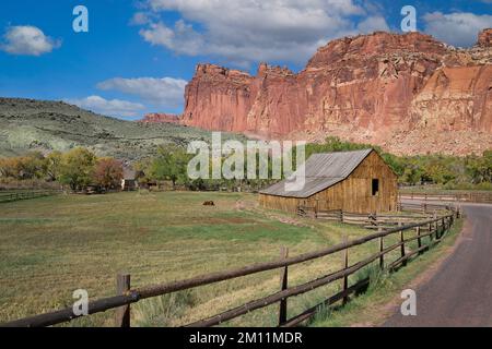 Scheunen Sie im Gifford Homestead am Scenic Drive im Capitol Reef National Park in der Nähe von Teasdale, Utah Stockfoto