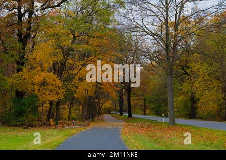 Landstraße und Radweg im Herbst, Rastplatz mit Holzmöbeln entlang des Weges, Bäume mit verfärbten Blättern Stockfoto