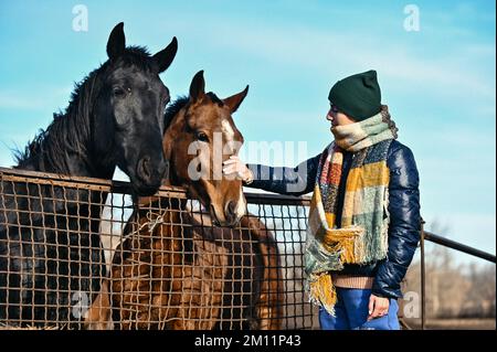 Trudove, UKRAINE - 2. DEZEMBER 2022 - Eine Frau streichelt eines der beiden Pferde auf der Zaporizhzhia-Zuchtfarm, dem Dorf Trudove, der Region Zaporizhzhia, Südtheas Stockfoto