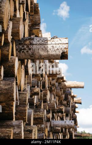 Grosser Holzhaufen im ländlichen Raum in Deutschland Stockfoto