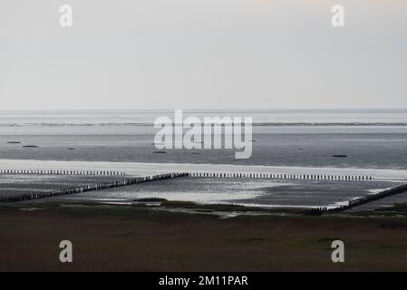 Insel Mandø, umgeben vom Wattenmeer, einzige dänische Gezeiteninsel, Mandø, Jütland, Dänemark Stockfoto