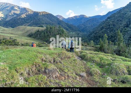 Südamerika, Kolumbien, Departamento Antioquia, Kolumbianische Anden, Urrao, ramo del Sol, Wanderer in der bergigen Andenlandschaft Stockfoto