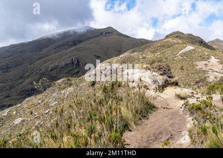 Südamerika, Kolumbien, Departamento Antioquia, Kolumbianische Anden, Urrao, ramo del Sol Stockfoto