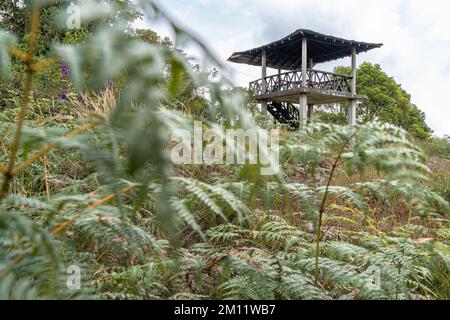 Südamerika, Kolumbien, Departamento de Antioquia, kolumbianische Anden, Jericó, Aussichtsturm im Naturpark Las Nubes Stockfoto