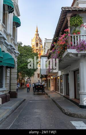 Südamerika, Kolumbien, Departamento de Bolívar, Cartagena de Indias, Ciudad Amurallada, Blick auf den Turm der Kathedrale Santa Catalina de Alejandría Stockfoto