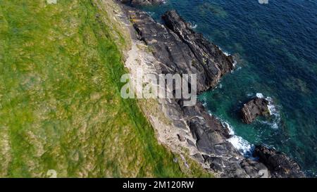 Dichtes Gras am Ufer. Mit Gras bedeckte Felsen an der Atlantikküste. Natur von Irland, Draufsicht. Luftfoto. Stockfoto