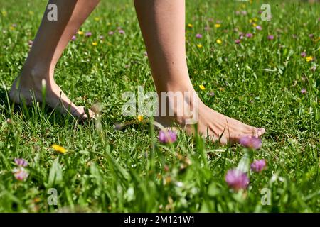 Barfußlaufen - Nahaufnahme von Frauenfüßen im Gras, die auf Gras laufen Stockfoto