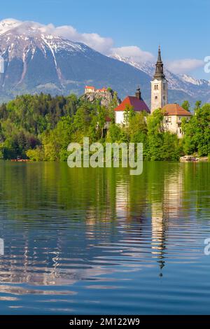 Blick auf den Bleder See im Frühling mit der kleinen Insel und der Mariä Himmelfahrt-Kirche. Bled, Oberkrain, Slowenien. Stockfoto