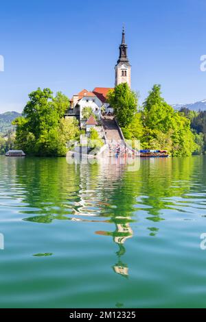 Blick auf die Bled Kirche und die Insel am Bleder See. Bled, Oberkarniola, Slowenien. Stockfoto