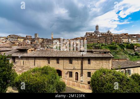 Über den Dächern von Siena, Toskana, Italien Stockfoto