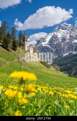 Wengen, hohe Abtei, Provinz Bozen, Südtirol, Italien. Die Kapelle von St. Barbara mit Blick auf den Gipfel der Neunerspitze Stockfoto