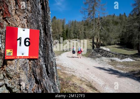 Wengen, hohe Abtei, Provinz Bozen, Südtirol, Italien. Wandern über die Ritwiesen Stockfoto