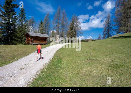 Wengen, hohe Abtei, Provinz Bozen, Südtirol, Italien. Wandern auf den Ritwiesen Stockfoto