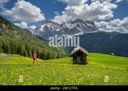 Wengen, hohe Abtei, Provinz Bozen, Südtirol, Italien. Wandern auf den Wiesen über dem Bergdorf Wengen. Im Hintergrund die Neunerspitze und die Zehnerspitze. Stockfoto