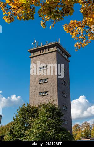 Deutschland, Stadtlohn, Westmuensterland, Muensterland, Westfalen, Nordrhein-Westfalen, alter Wasserturm, Herbstlaub Stockfoto