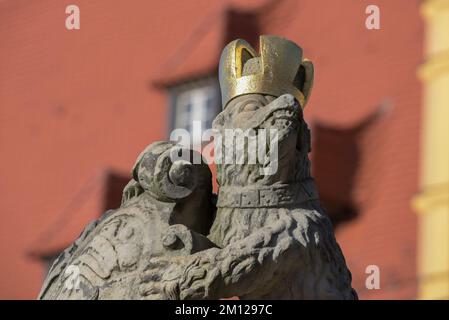 Askanischer Bär als Heraldis, Burg Bernburg, Renaissanceschloss, gehört zur Sachsen-Anhalt Kulturstiftung, Bernburg, Sachsen-Anhalt, Deutschland Stockfoto