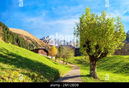 Sonniger Herbsttag in den Bergen. Blick vom idyllischen Einödsbach bis zu den Allgäu-Hochalpen mit Trettachspitze, Mädelegabel und Hochfrottspitze. Bayern, Deutschland, Europa Stockfoto