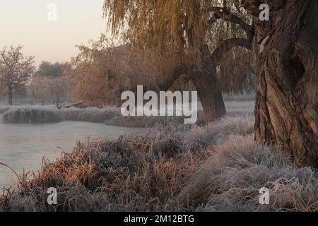 Magischer nebeliger Morgen Mitte Dezember, Temperatur unter Null Stockfoto