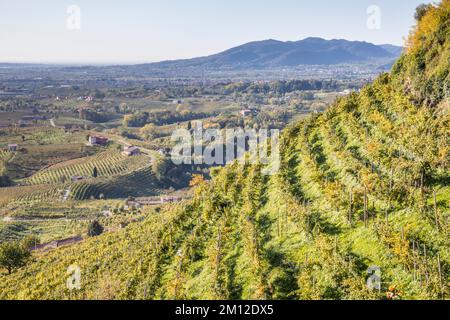 Italien, Venetien, Provinz Treviso, Valdobbiadene. Stockfoto