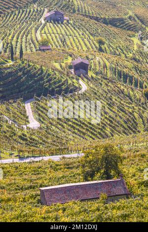 Italien, Venetien, Provinz Treviso, Valdobbiadene. Stockfoto