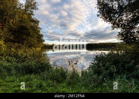 Europa, Polen, Niederschlesien, Barycz Tal Landschaftspark/Landschaftsschutzpark Bartschtal Stockfoto