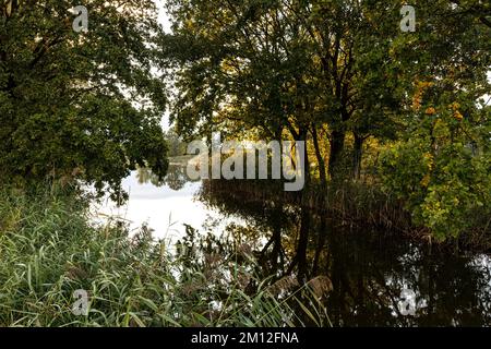 Europa, Polen, Niederschlesien, Barycz Tal Landschaftspark/Landschaftsschutzpark Bartschtal Stockfoto