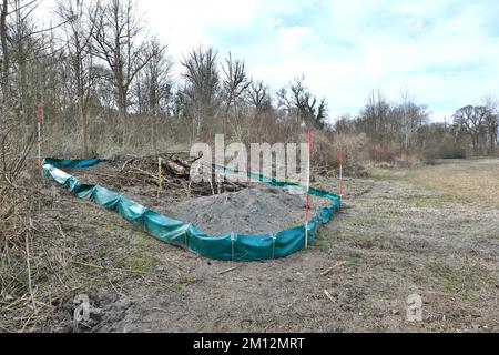 Künstliches Ersatzbiotop mit Folienzaun zur Verlegung von Sandeichsen, Renaturierung der Salzach, Salzachaue, Tittmoning, Oberbayern, Stockfoto