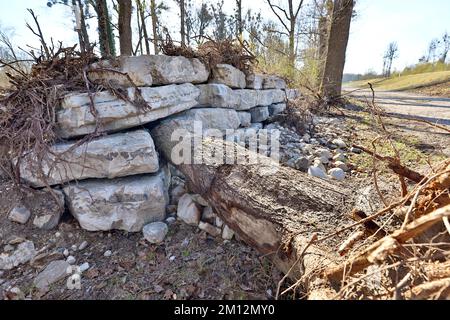 Künstliches Ersatzbiotop für Amphibien, Renaturierung der Salzach, Salzachaue, Tittmoning, Oberbayern, Bayern, Deutschland, Europa Stockfoto