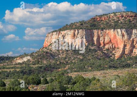Der Coral Sand Dunes State Park in der Nähe von Kanab, Utah, ist ein Felsvorsprung über dem Wald Stockfoto