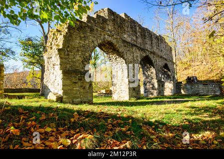 Blick auf die Ruinen von Arnsburg im Herbst mit blauem Himmel Stockfoto