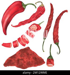 Handgezeichnetes Aquarell-Chili und Paprika. Ein Teil der Aquarelle der Gewürze Stockfoto