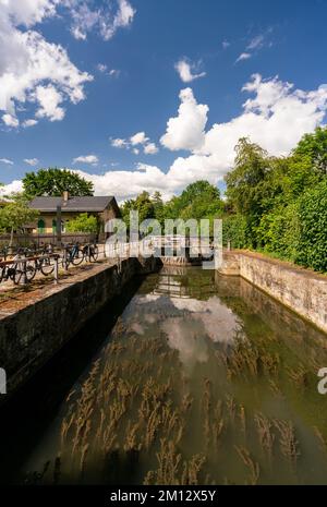 Lock 100 in der zum UNESCO-Weltkulturerbe gehörenden Stadt Bamberg, Oberfrankreich, Franken, Bayern, Deutschland Stockfoto